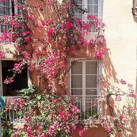 Blue Palm Appartement Hyères